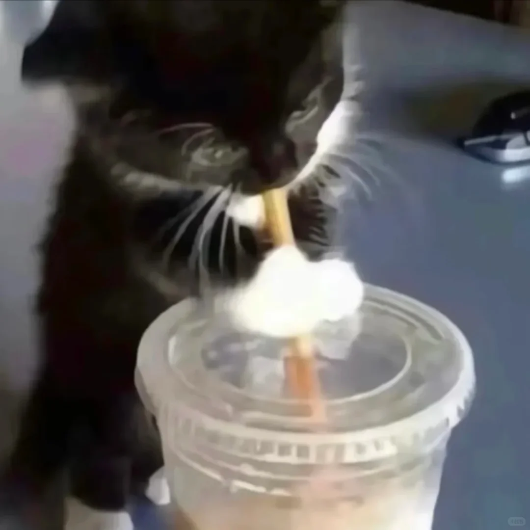 你不知道的黑猫警长私房照