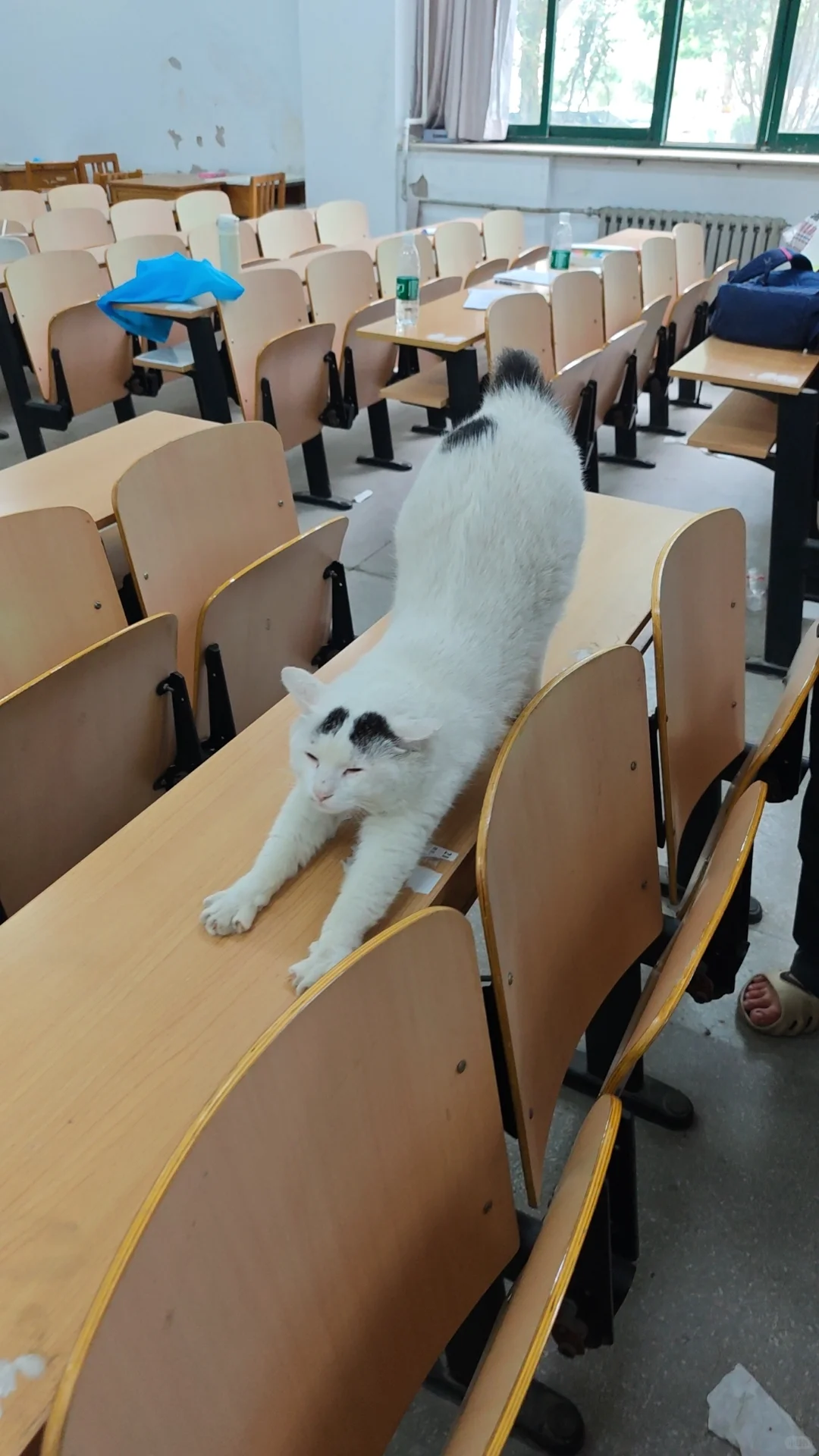 小八私房照