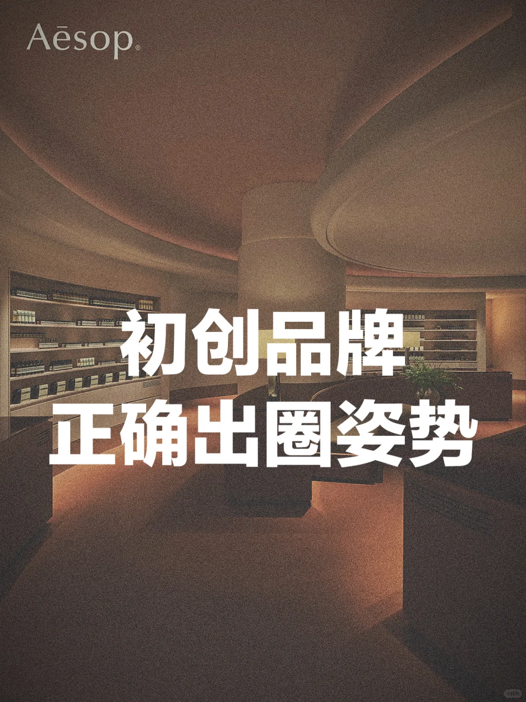 初创品牌正确出圈姿势