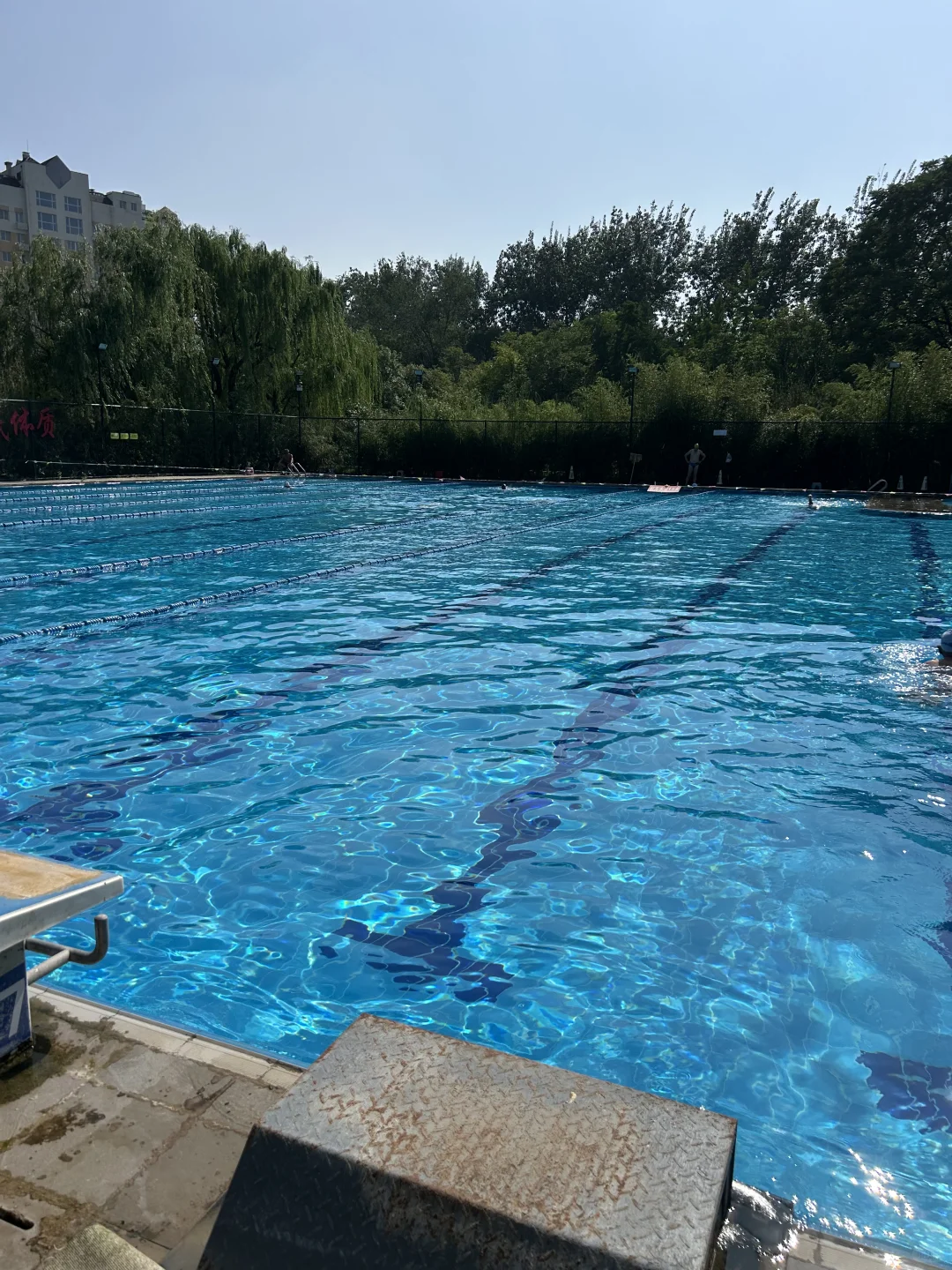 ☀️今日份泳池快乐 | 开启清爽训练时光