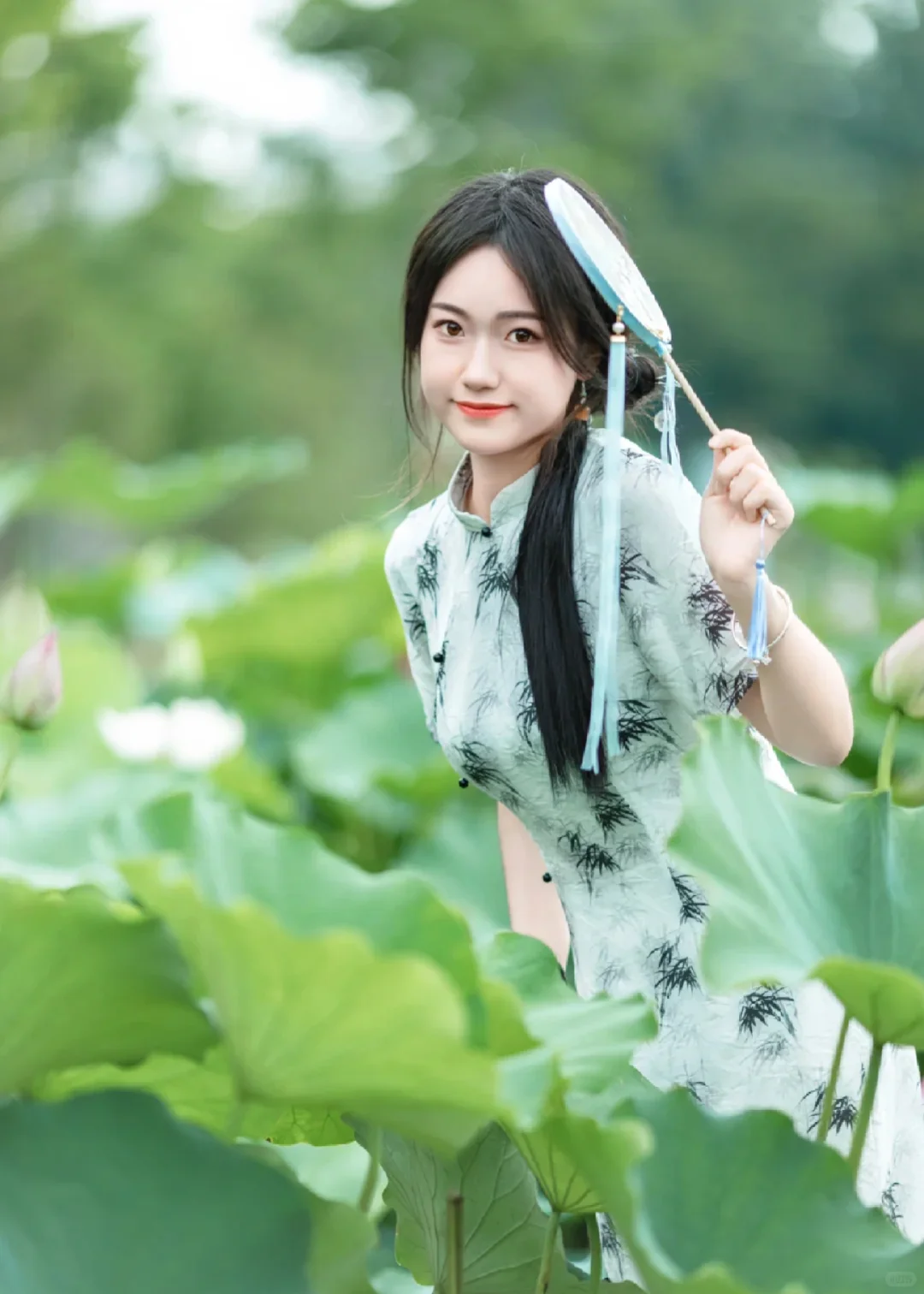 莲叶何田田 莲女戏莲莲女美