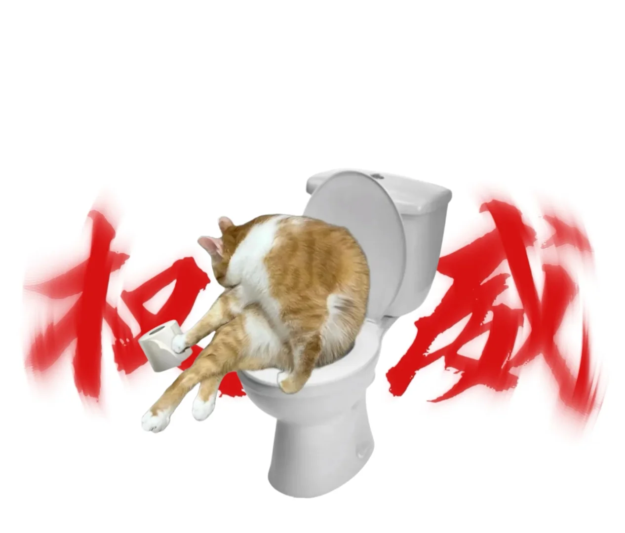 猫meme权威头像