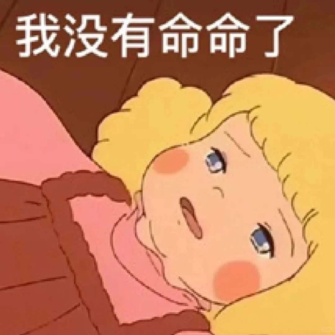 谁懂啊就爱看美女!