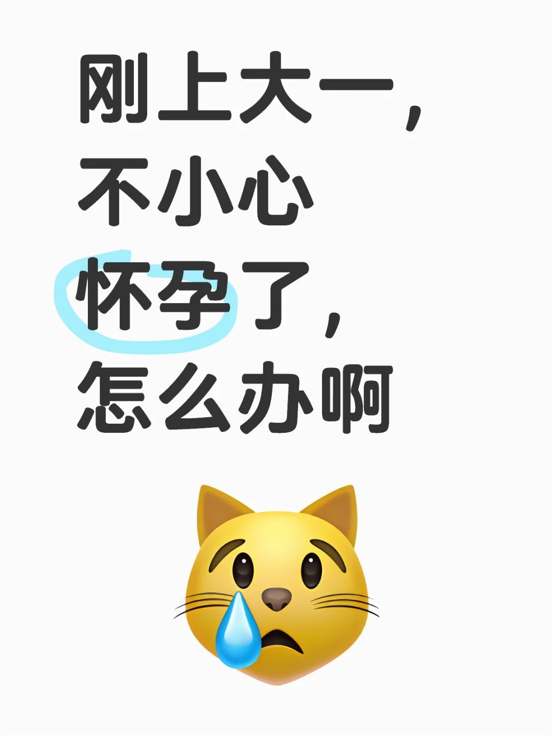 刚上大一，不小心怀孕了，怎么办啊