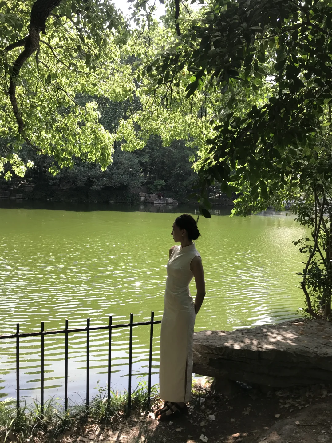 live｜明月流光