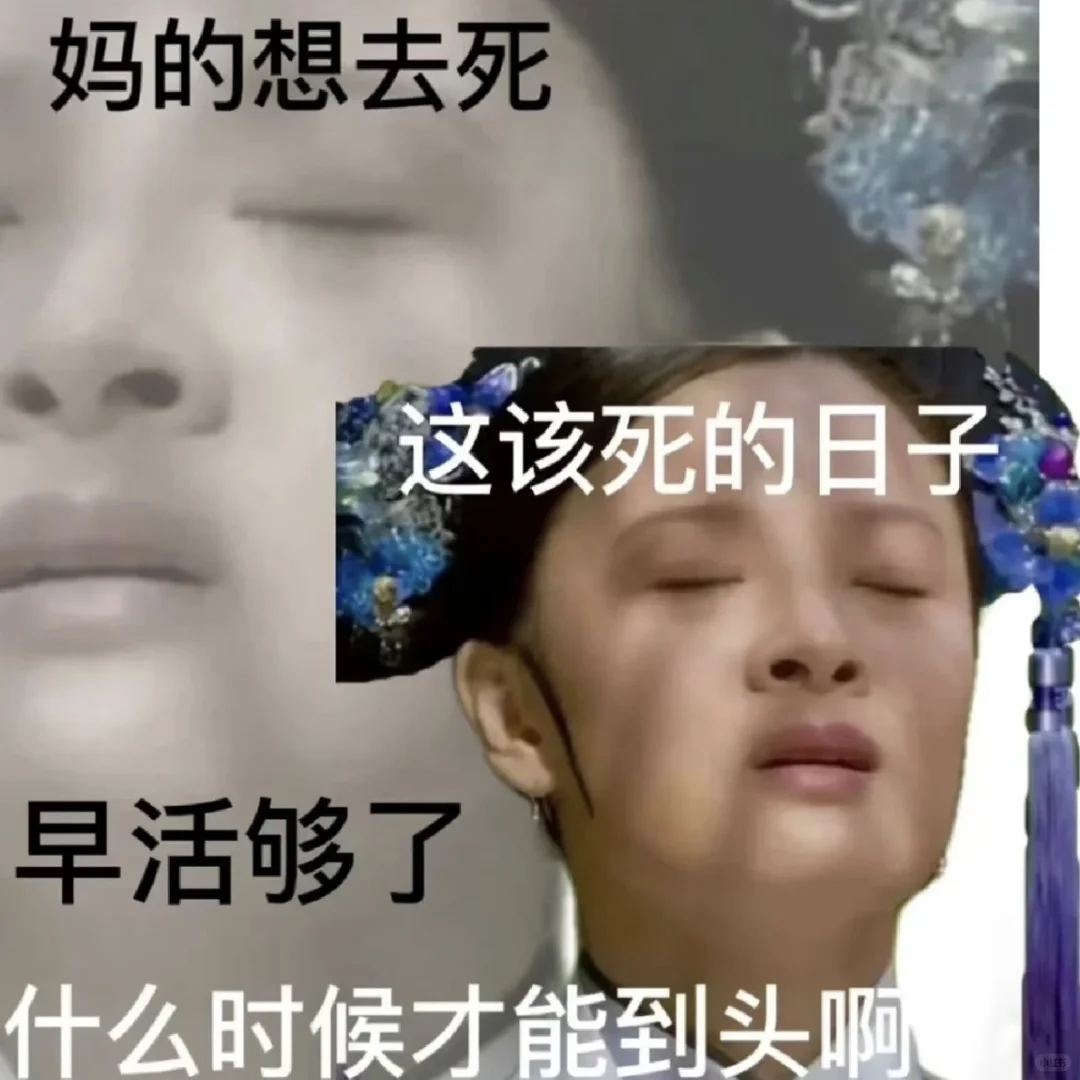 使用频率超高的表情包分享～