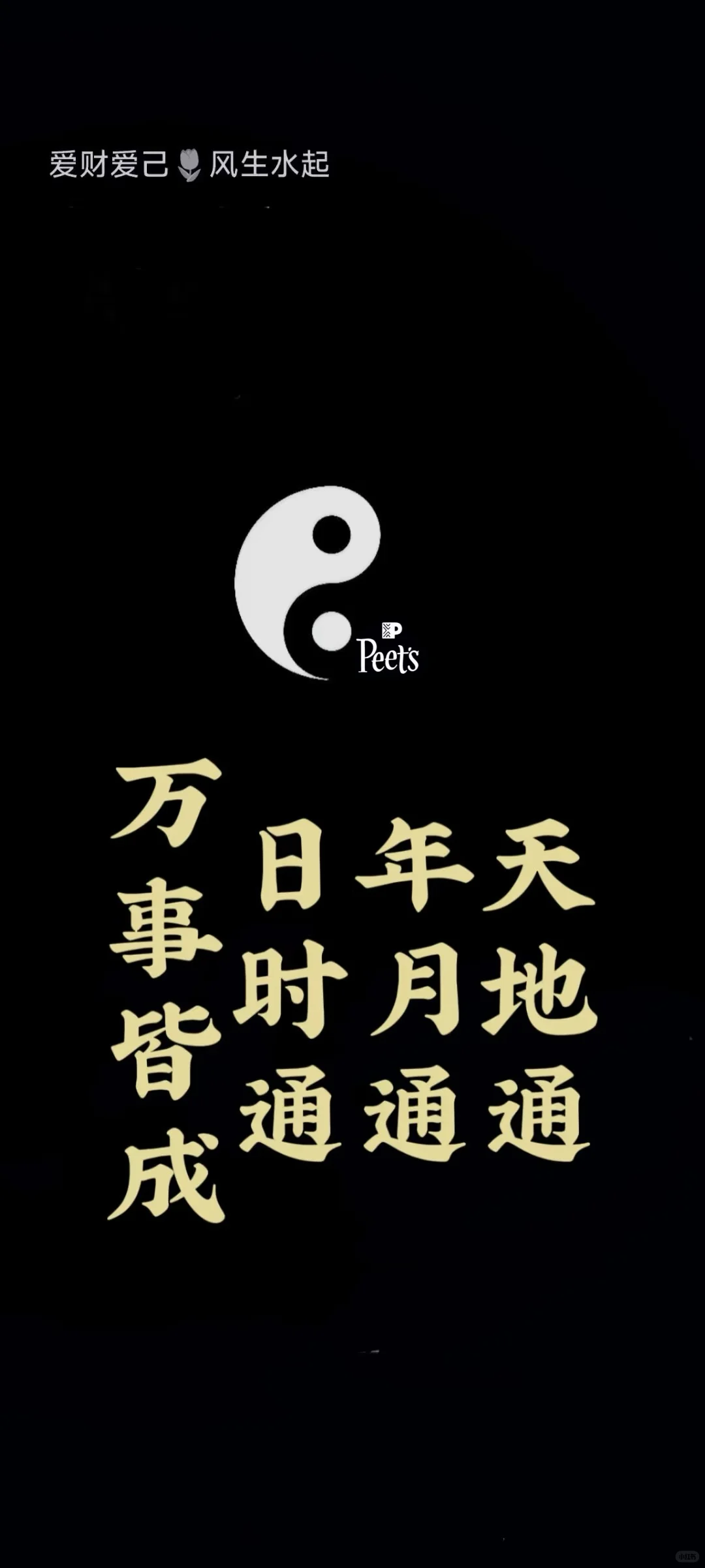 皮爷万事通壁纸