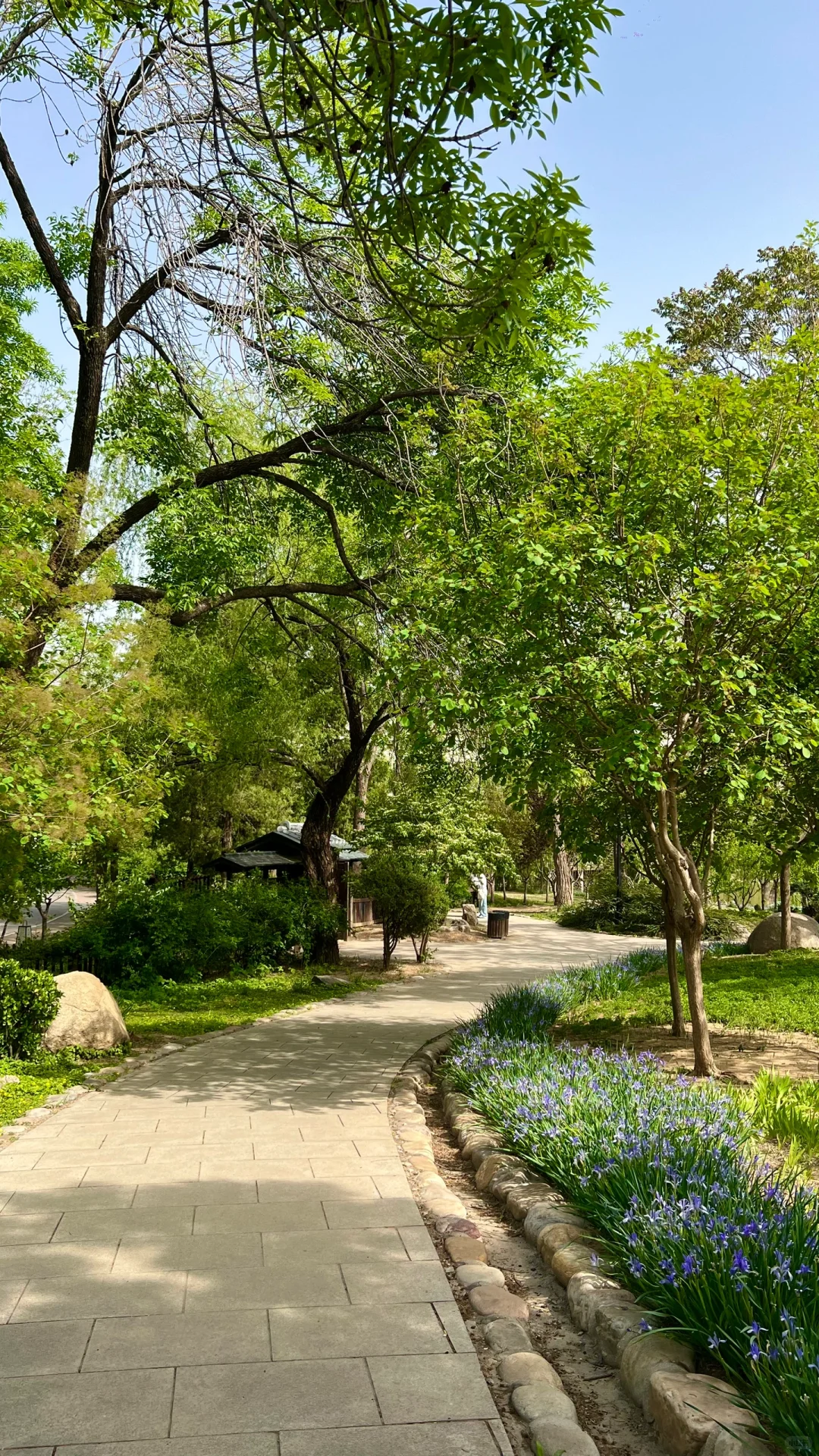 小学生春游