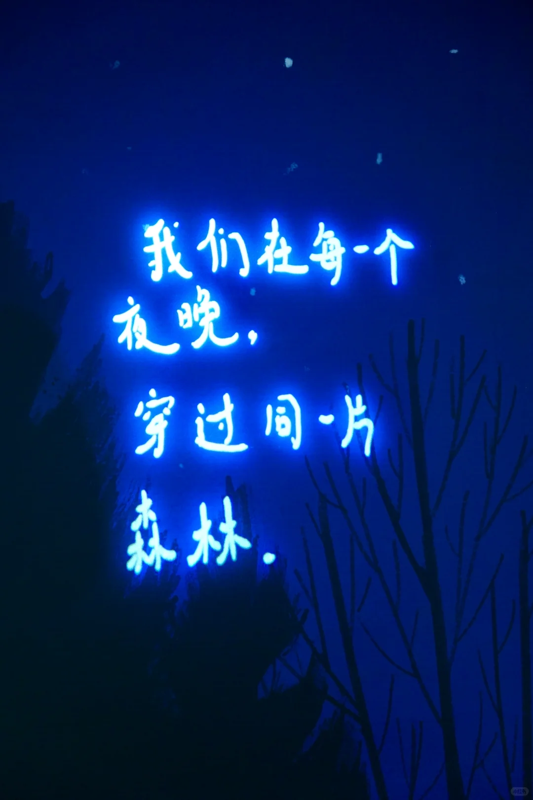 卤猫画展 ｜ 世界，在窗前跳舞🕺