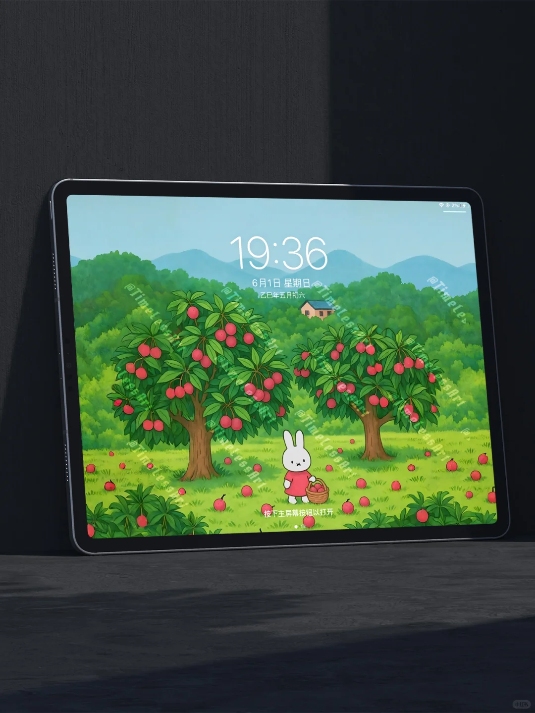 259 顺顺荔荔 miffy米菲兔夏日ipad壁纸