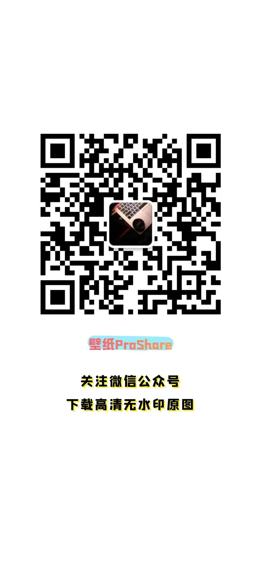 Share壁纸｜赏心悦目的美女壁纸
