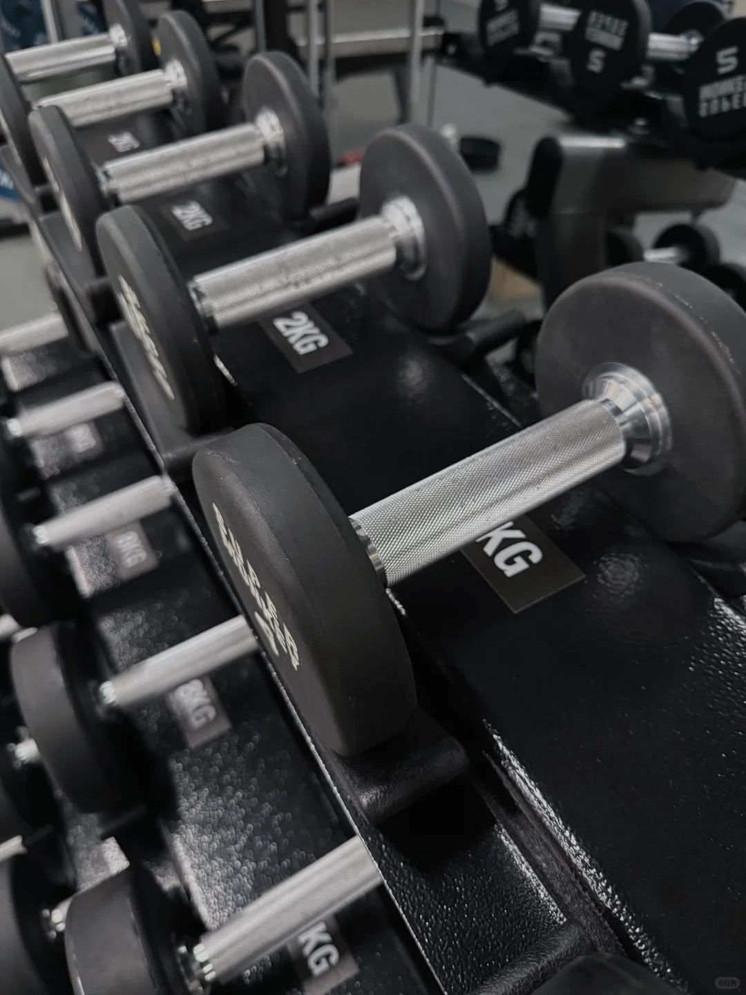 撸铁女孩的快乐🏋️‍♀️