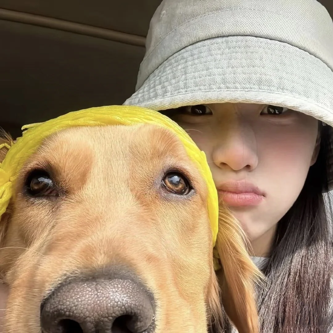 Wechat | 女头