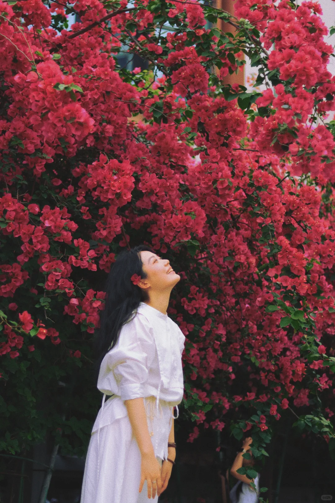 日系画册昭和写真集分享｜春少女