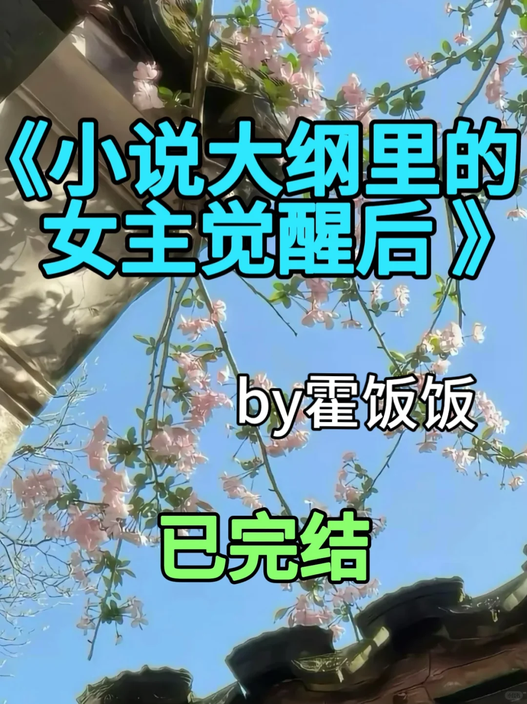 6.1｜❗️❗️《小说大纲里的女主觉醒后》已完结