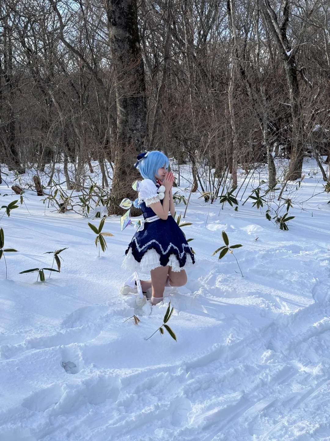 所有Coser终会成为反季节战士🥶