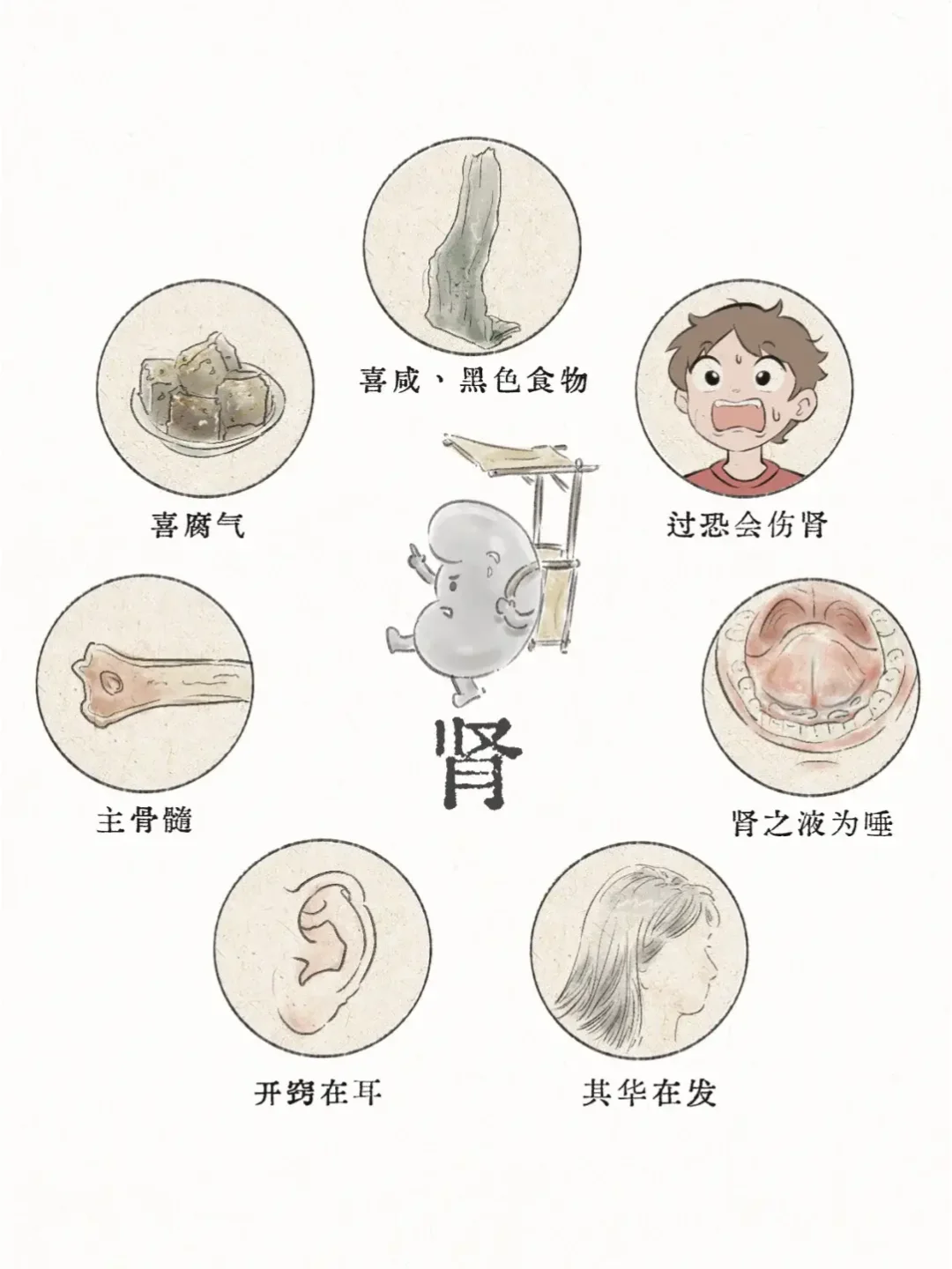 黄帝内经 | 了解了五脏的喜好后❤️‍🔥
