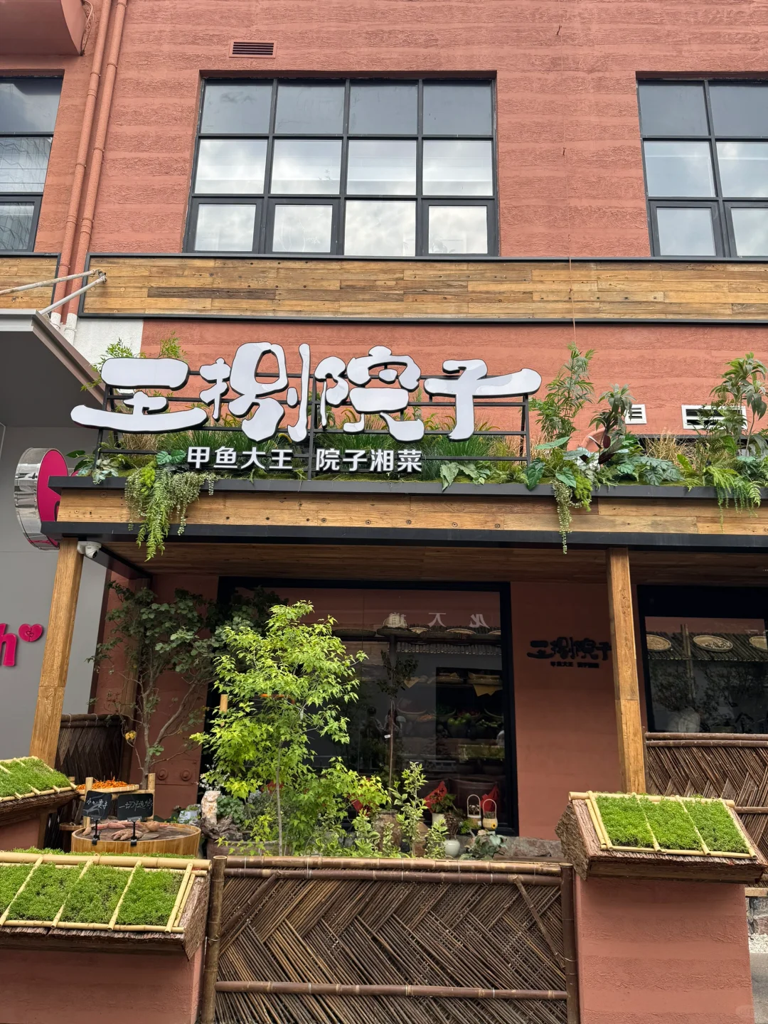 小猫也是要吃饭的（≡・x・≡）