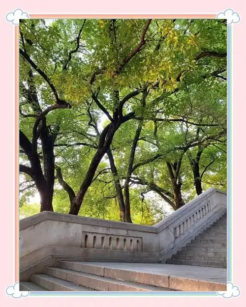 武汉摄影学校告诉您，节假日如何拍出美照