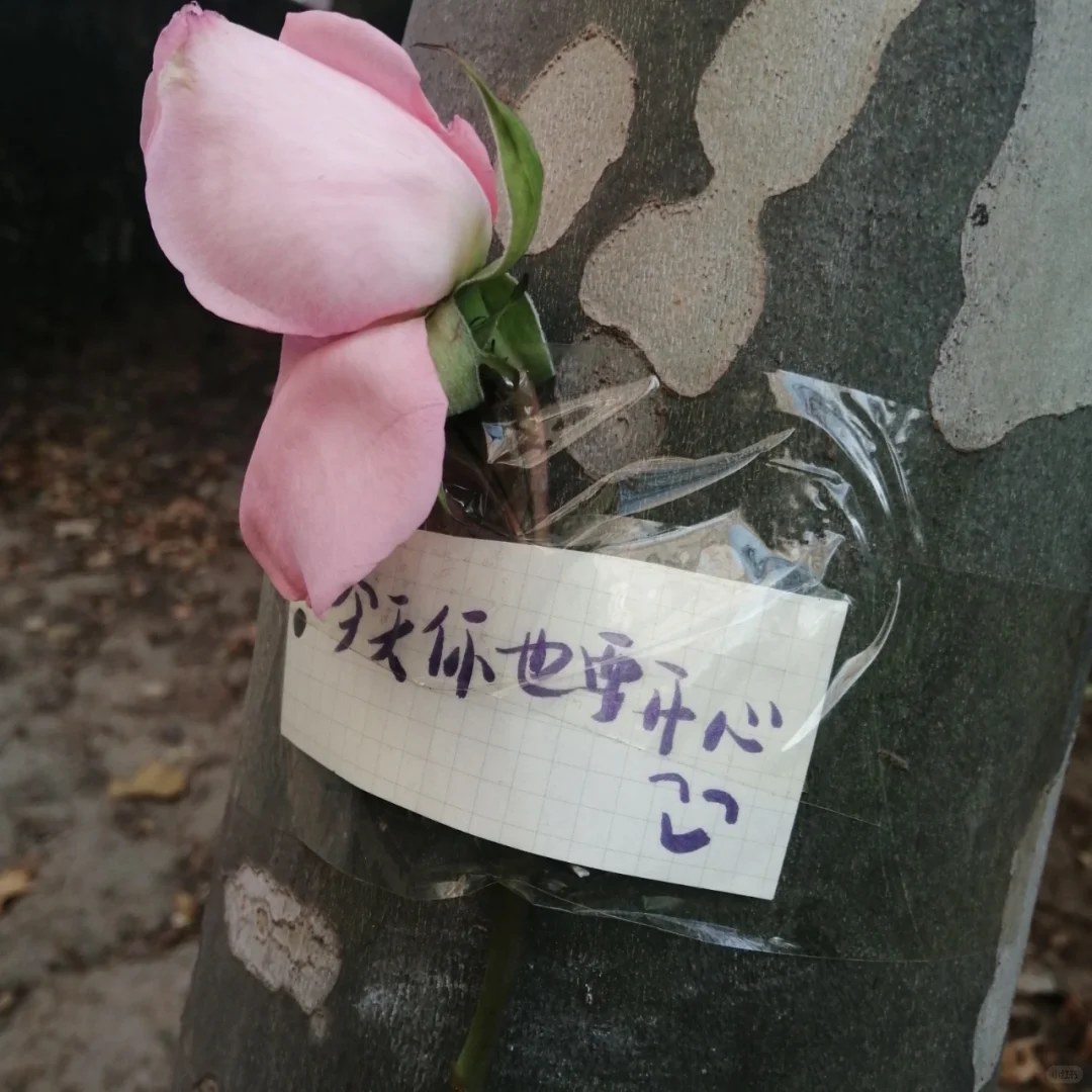 我的审美不再是白幼瘦了！！！
