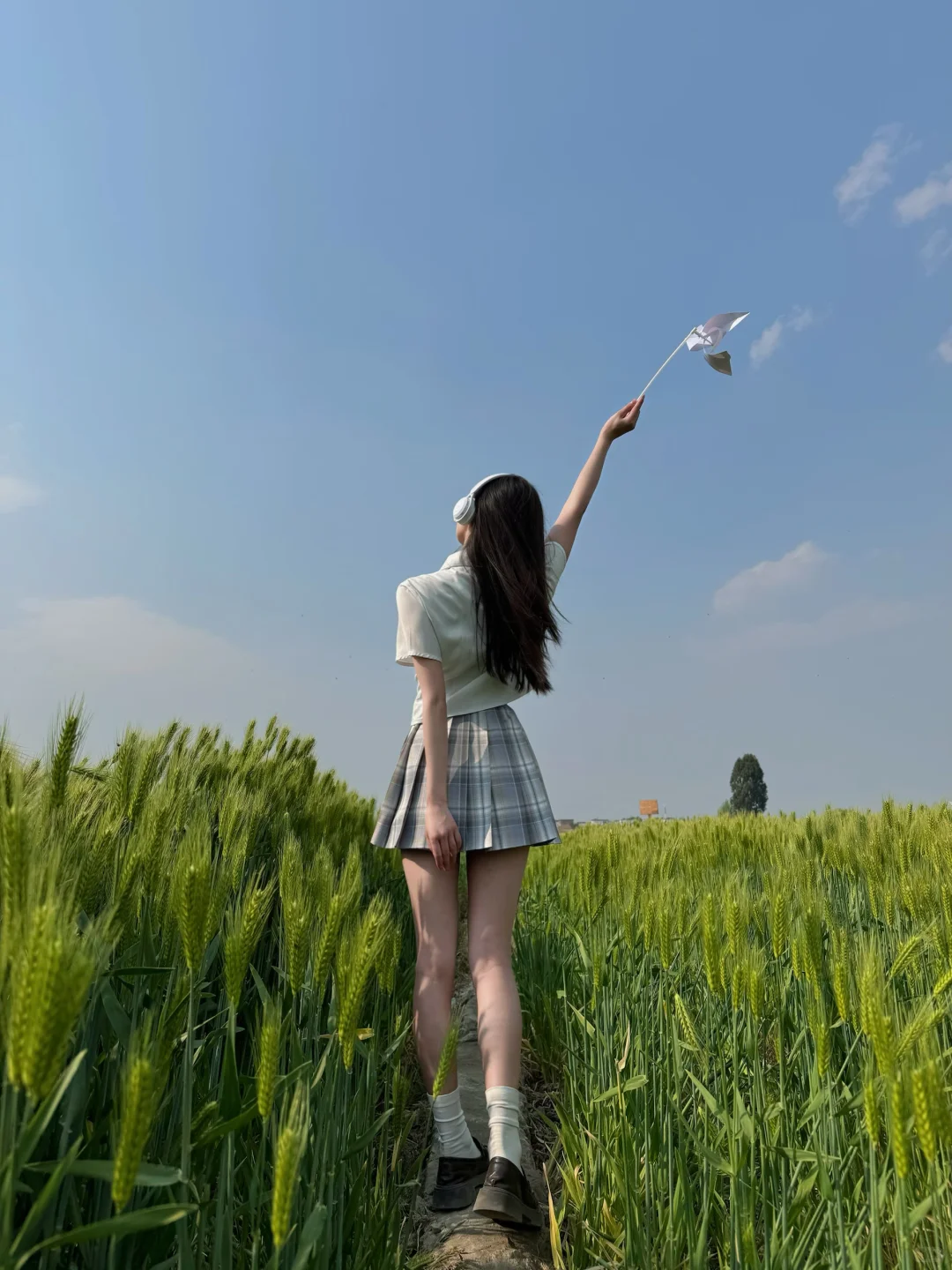 实况live/ 不同视角拍出来麦田