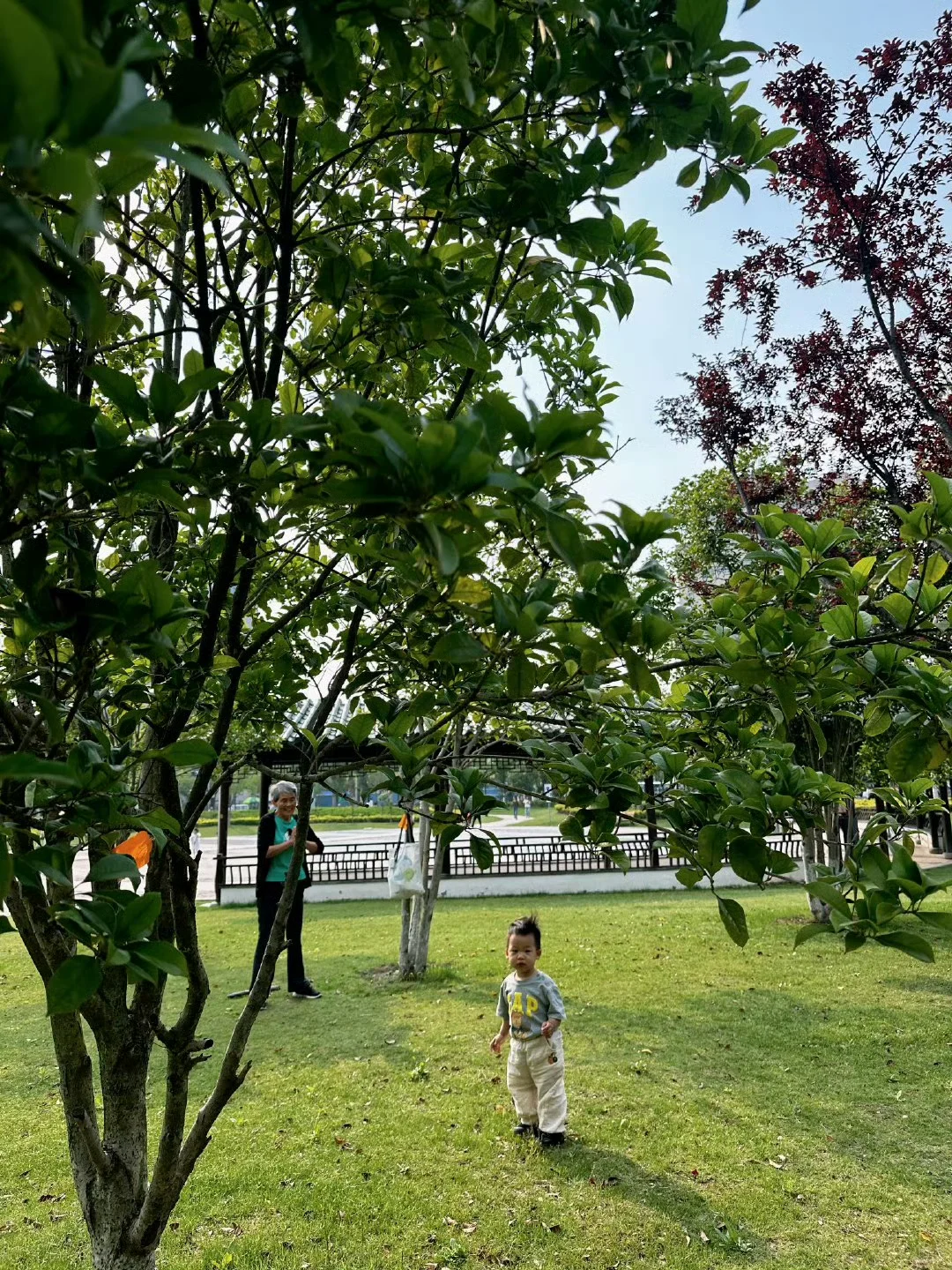 逛逛公园