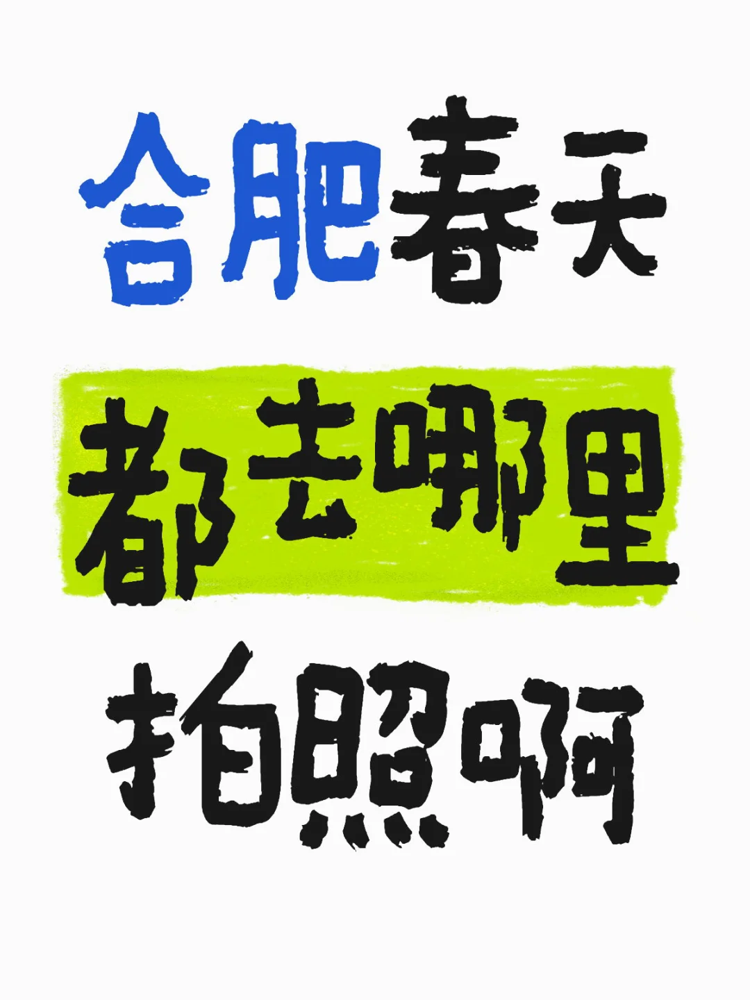 看看你们在合肥拍的花花美照