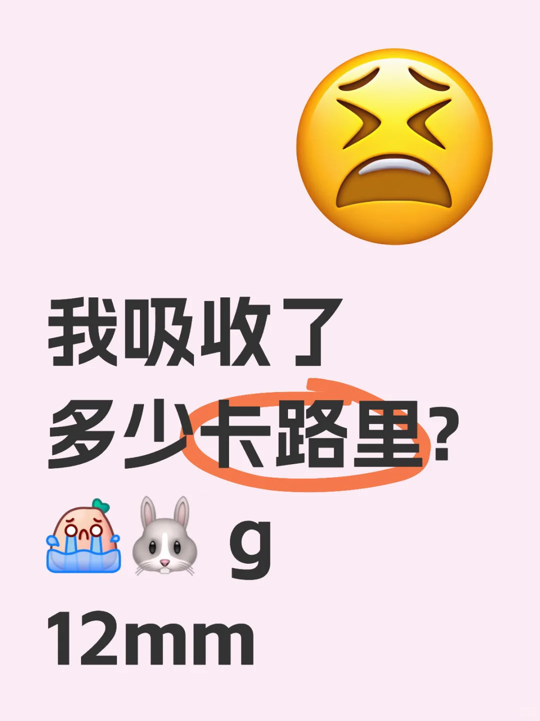 我吸收了多少卡路里?🐰 g 12mm