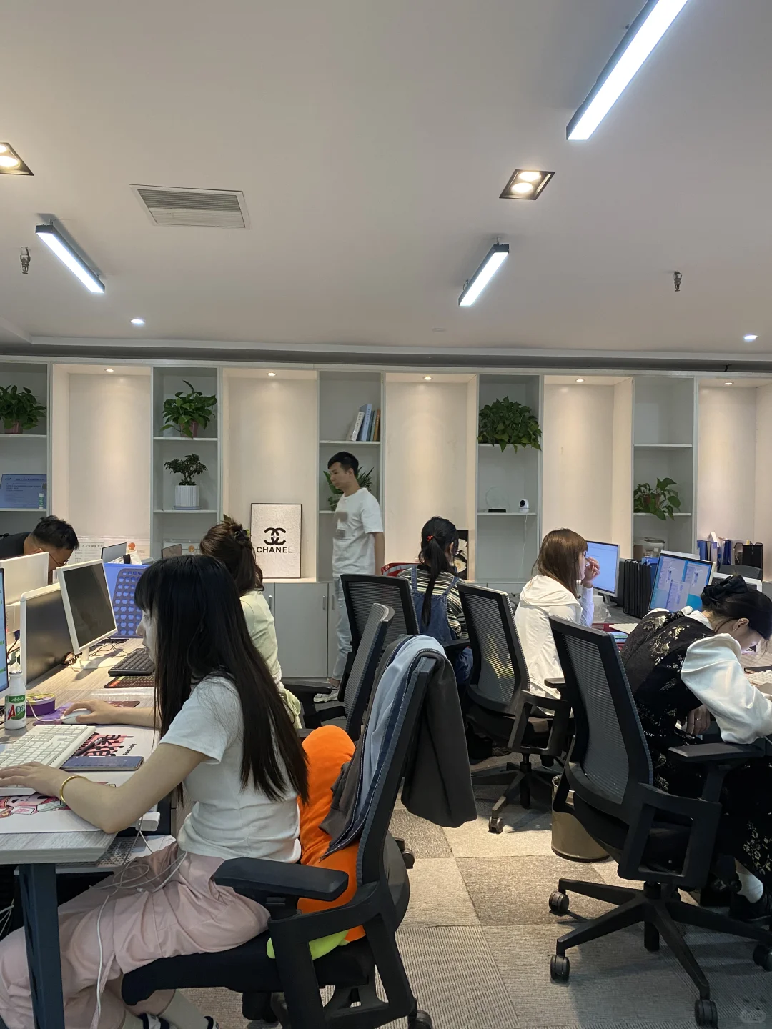 办公室文员太爽了