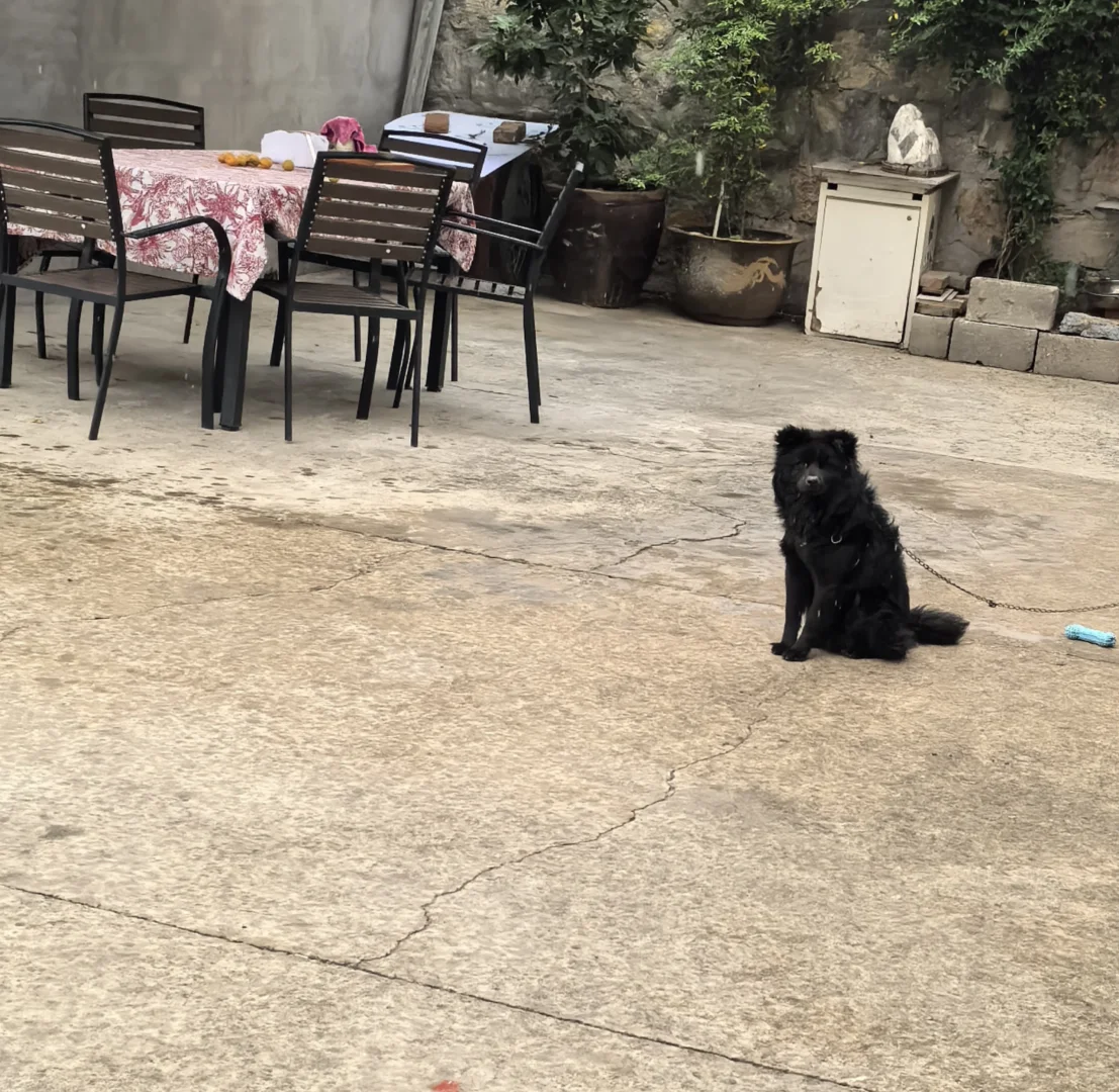 为什么你要在雨里傻傻站着☔️
