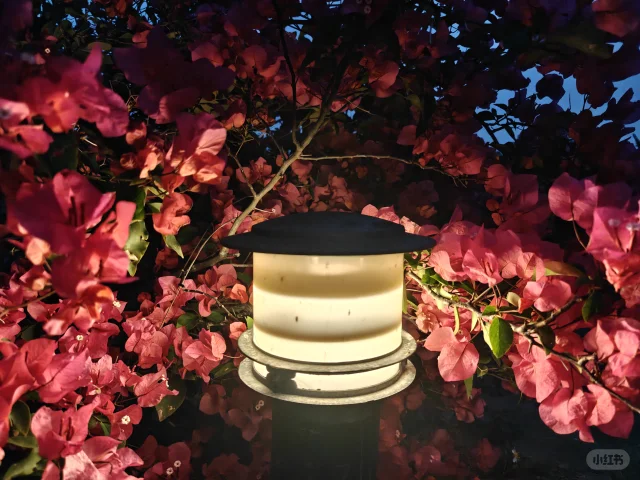 3.23运动打卡