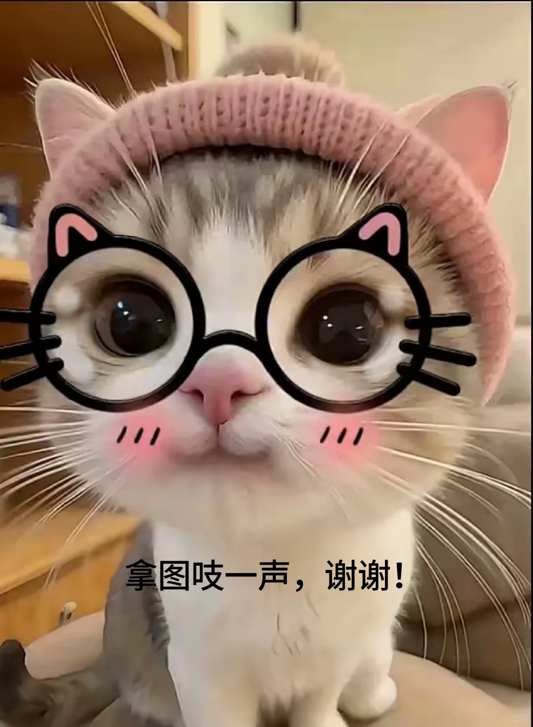 高质量ins女生壁纸！