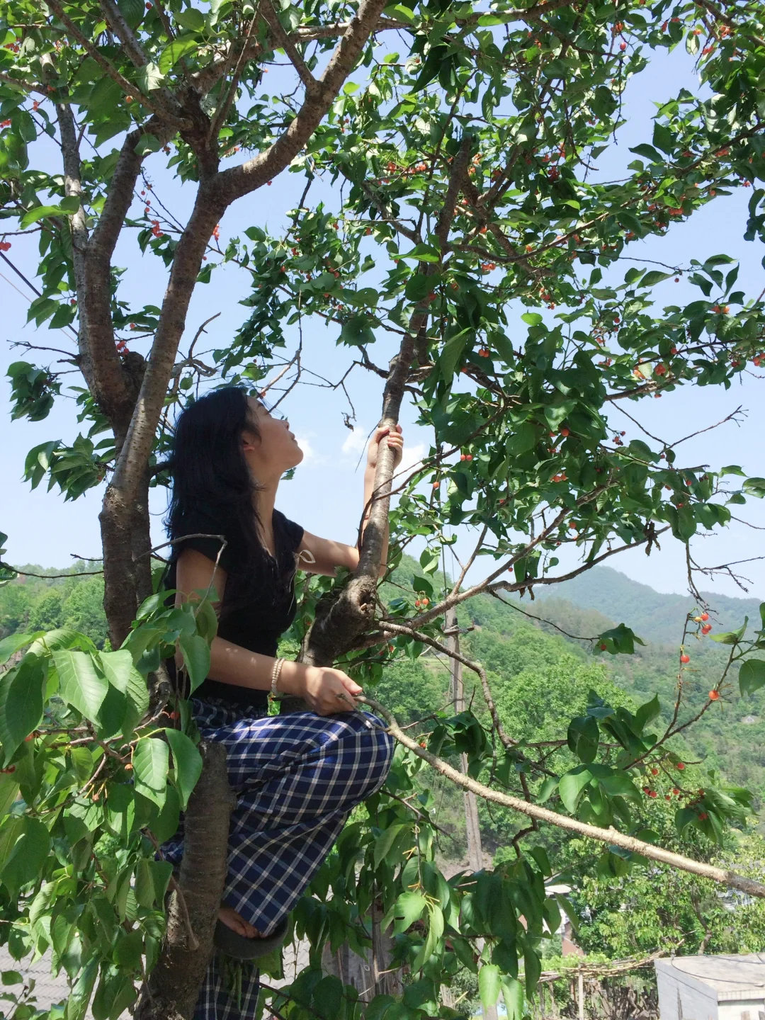 在山里🌿
