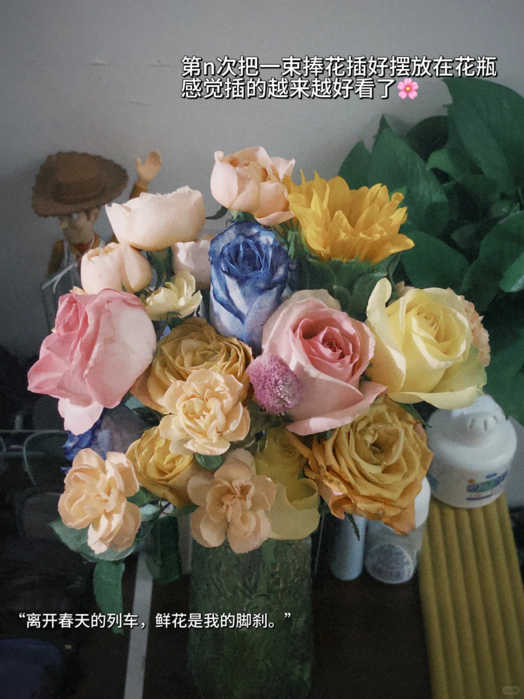 浙大plog | 甜系少女风女大🎀读研日记