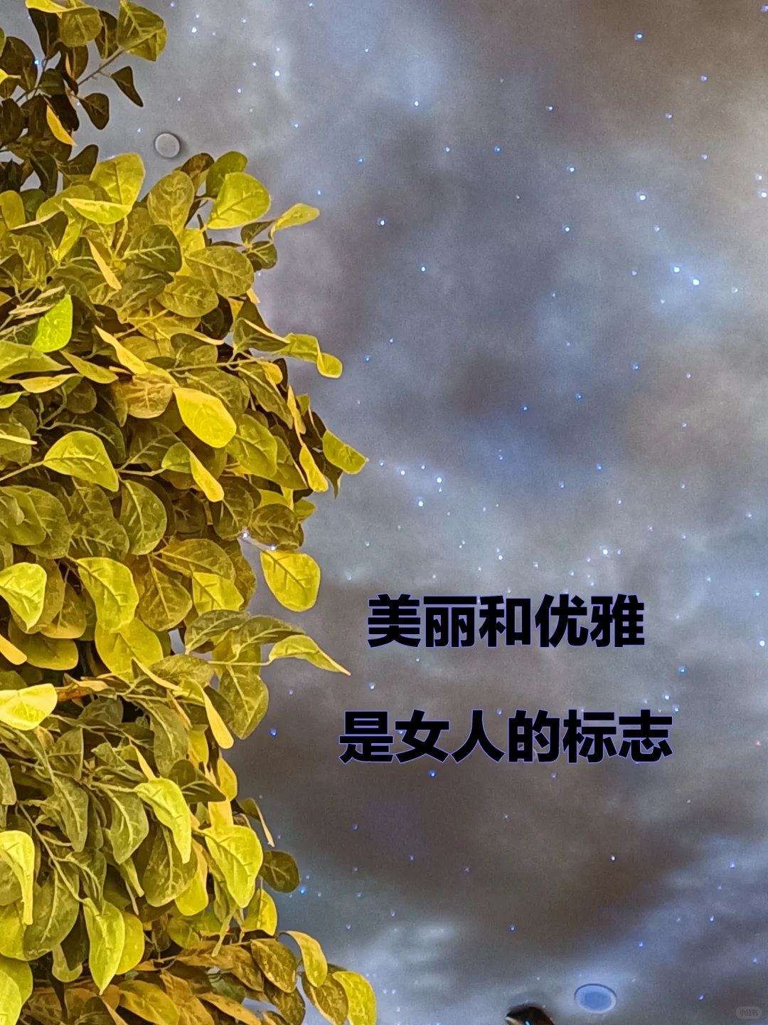 59岁 女人的魅力来自优雅
