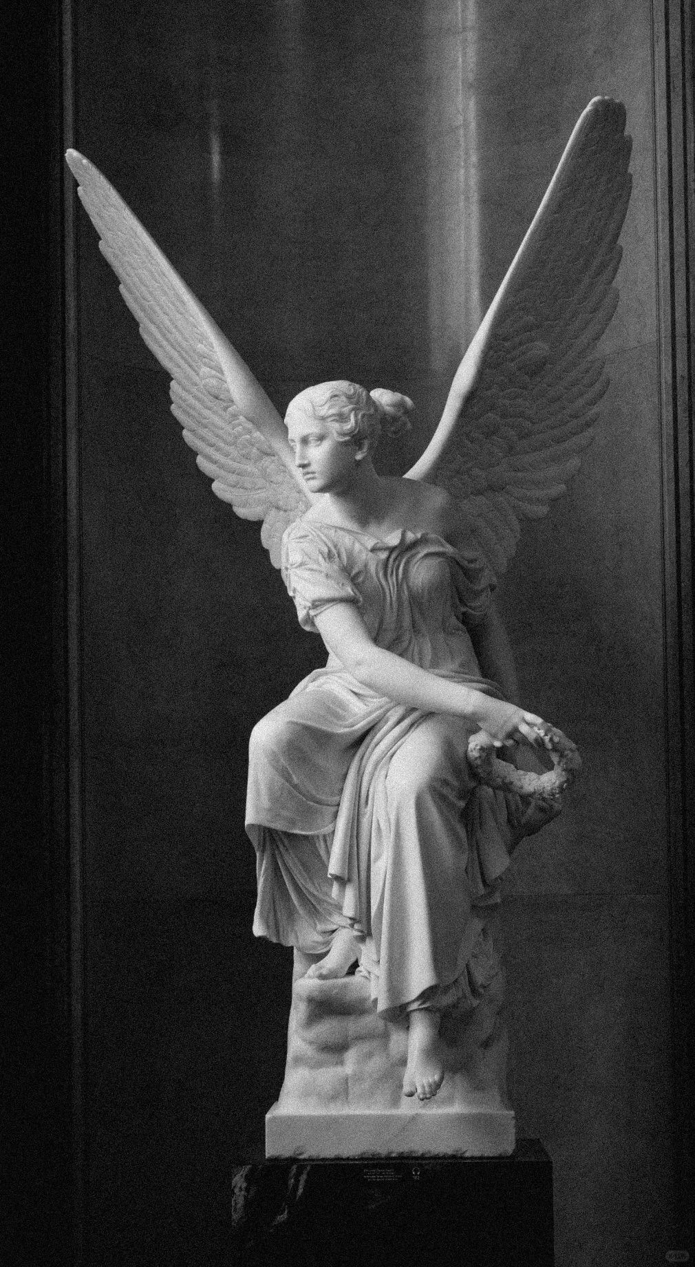 Beautiful Angel