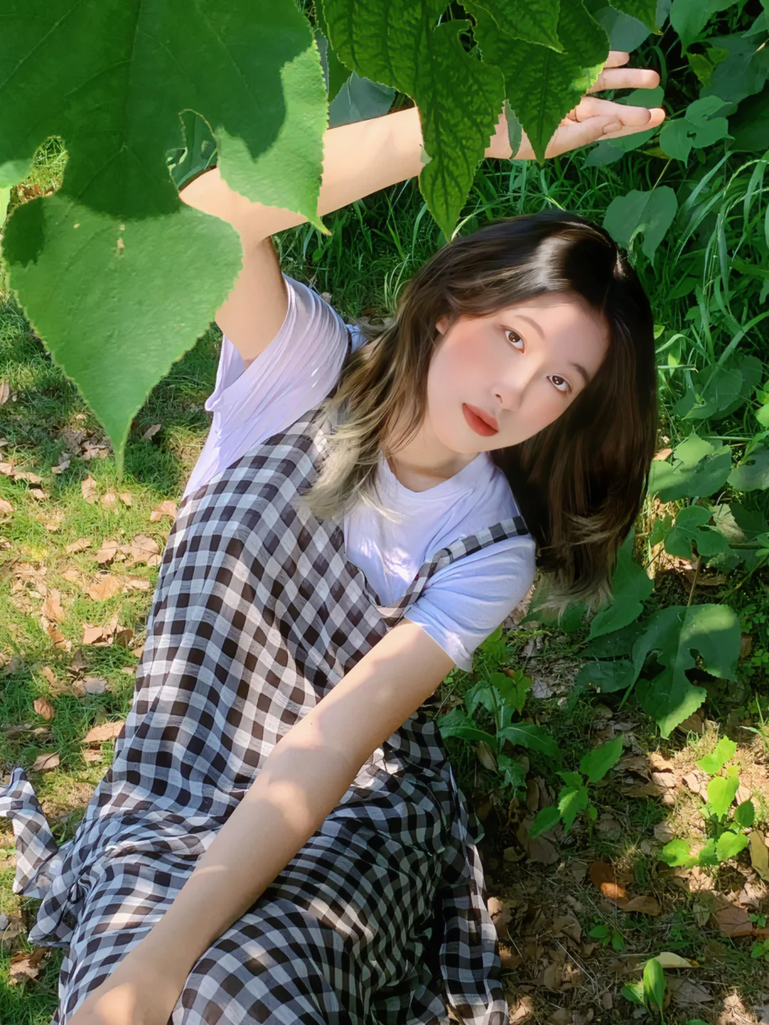 生命力来自阳光的热烈和草木的浪漫