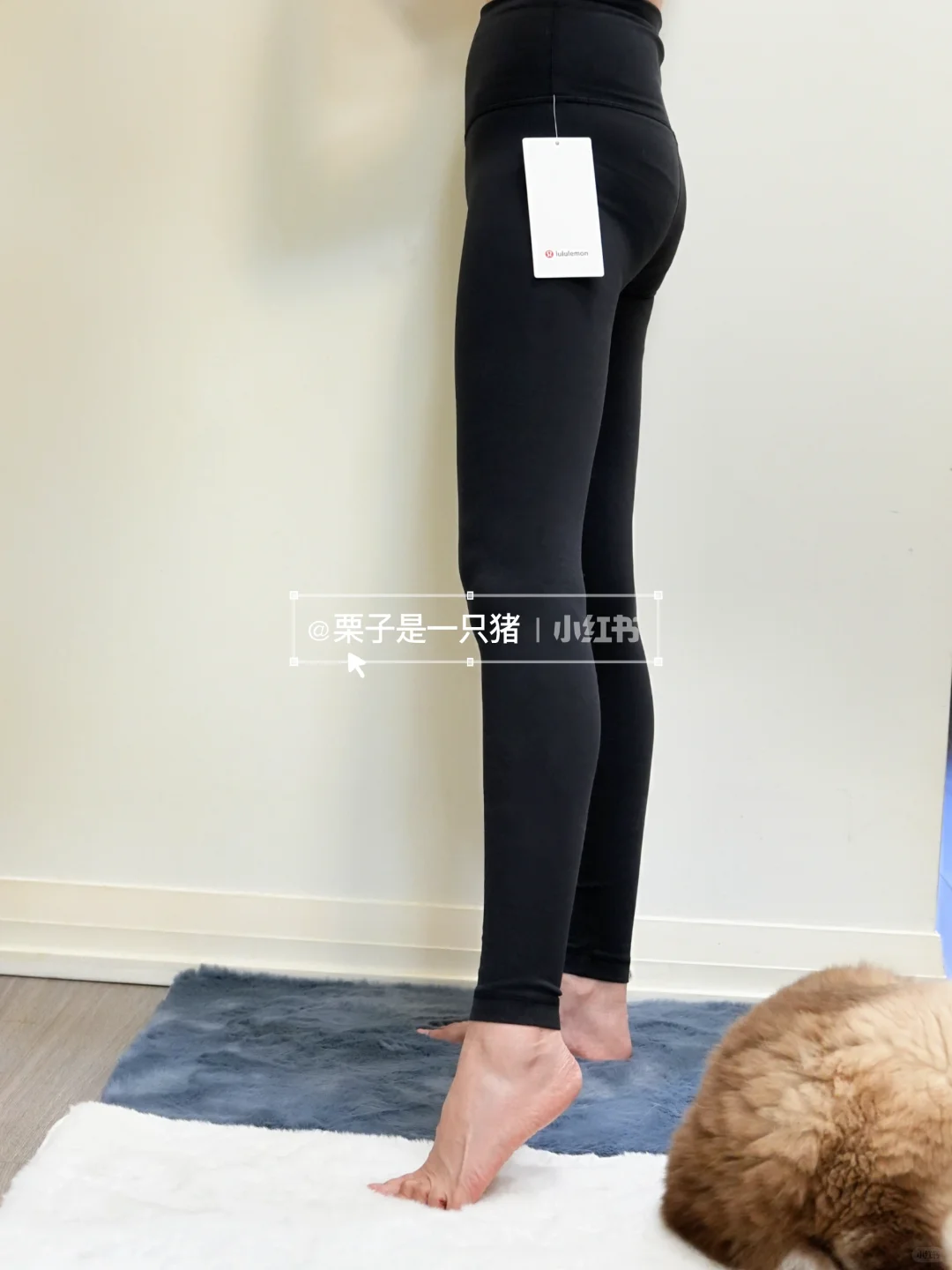 Lululemon瑜伽裤WT