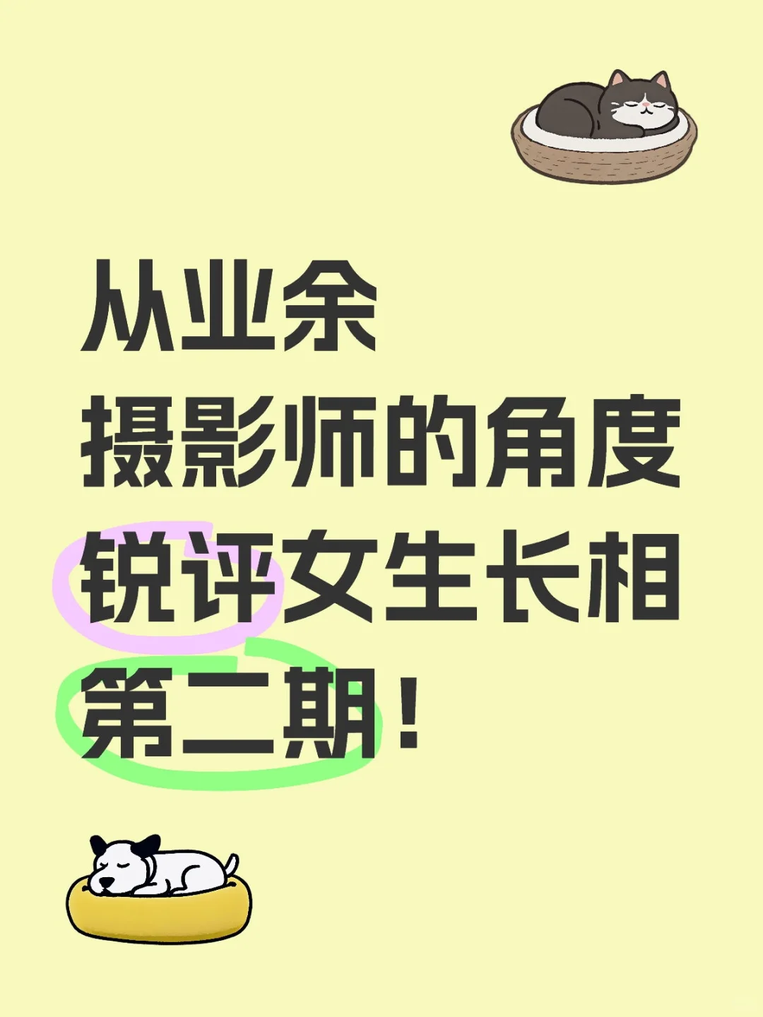 从业余摄影师的角度锐评女生长相第二期！