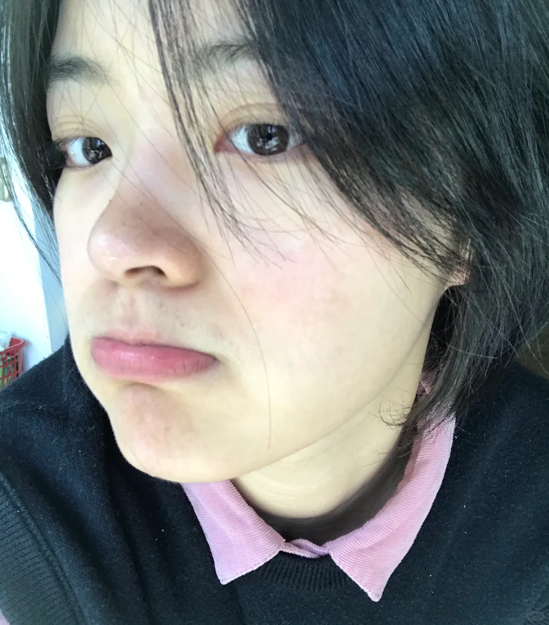 种下的小花发芽啦