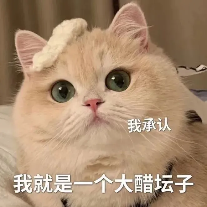 委屈猫猫表情包
