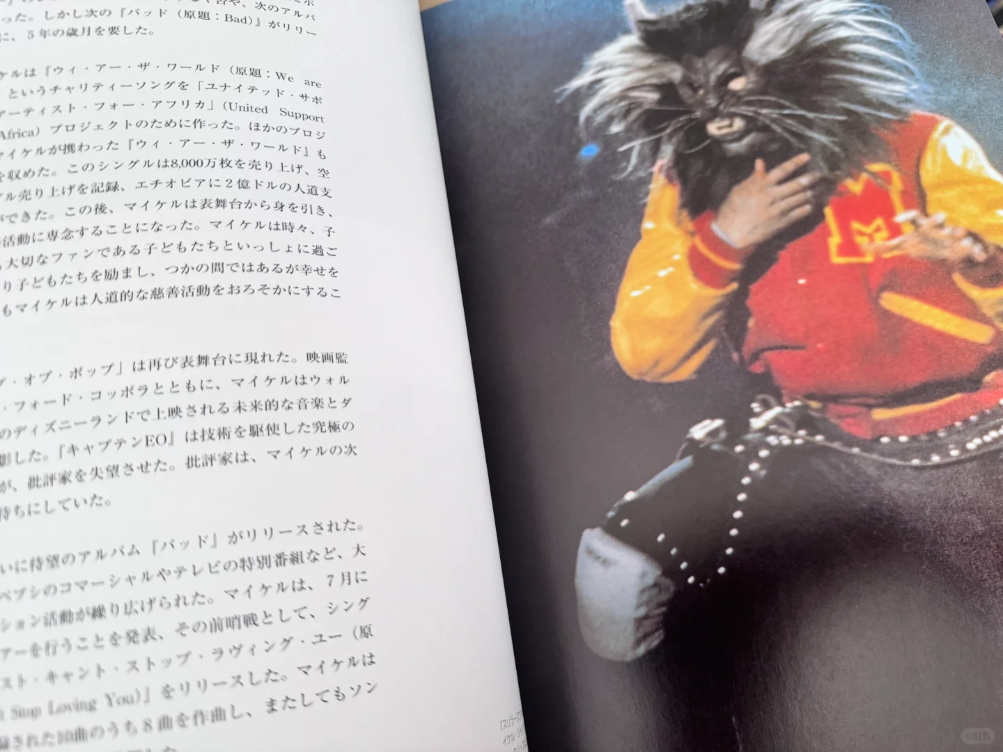 MJ King of Pop日本写真集