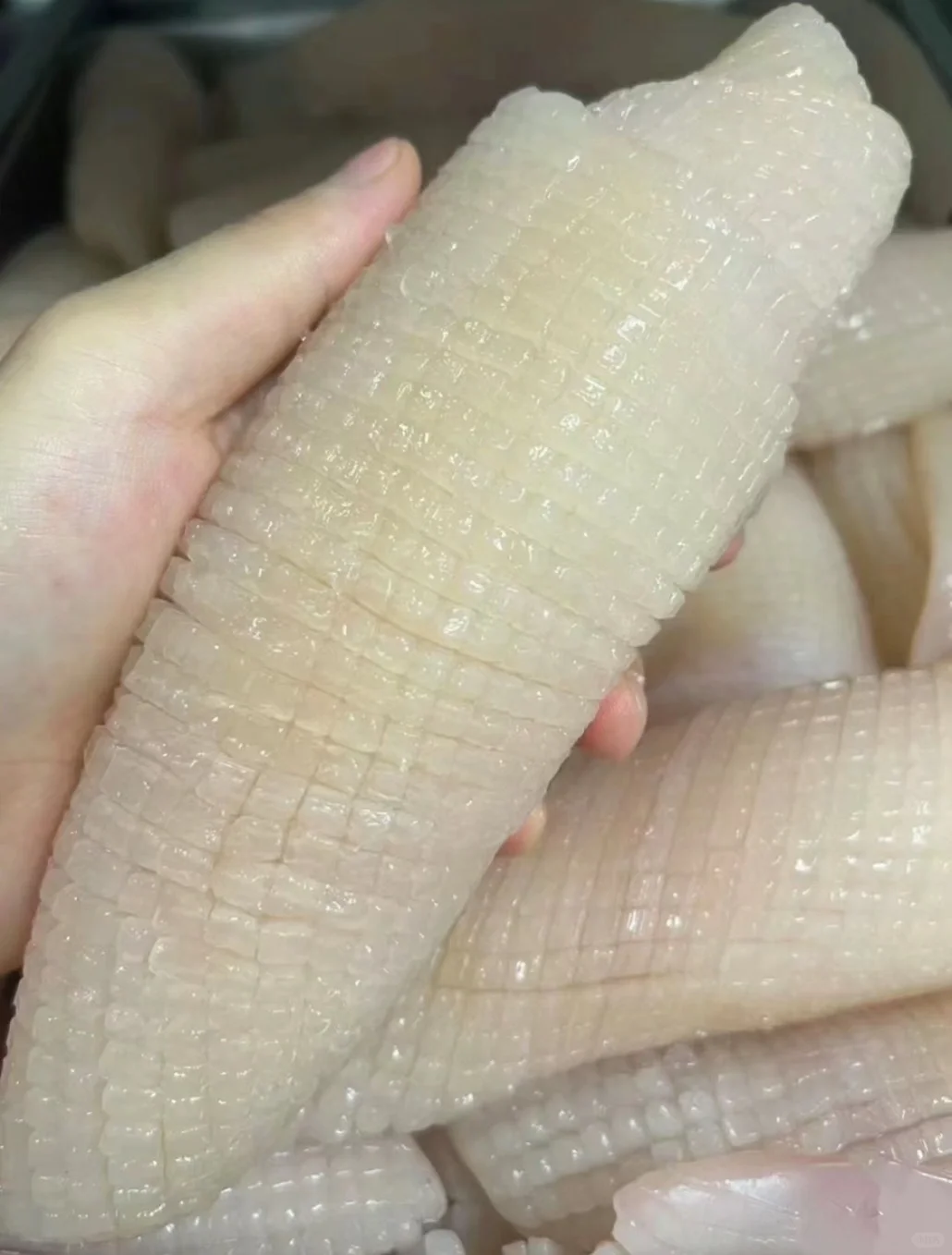 对自己的腿焦虑了…想看看大家腿的真实模样