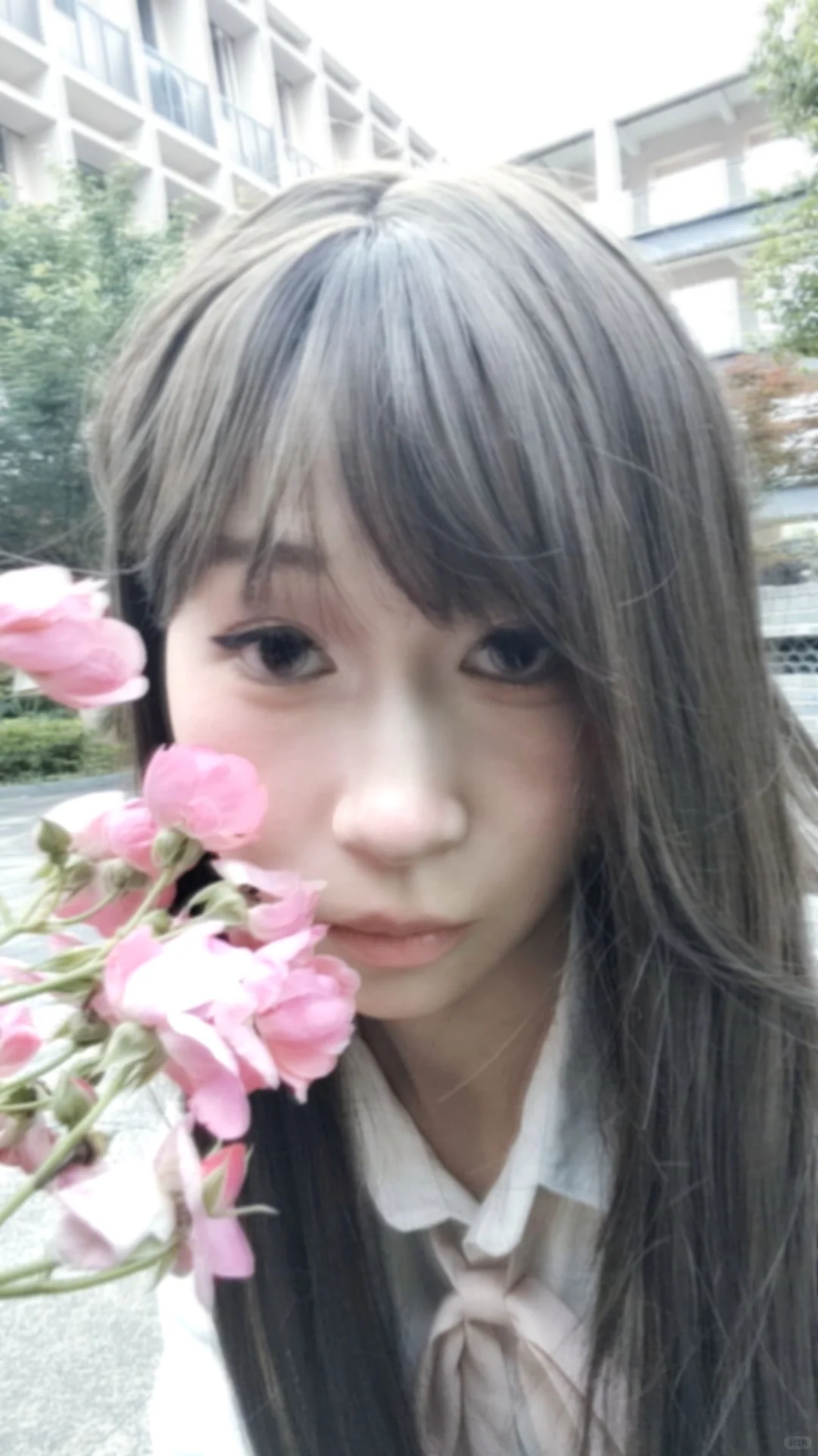 “杳杳春来时.”