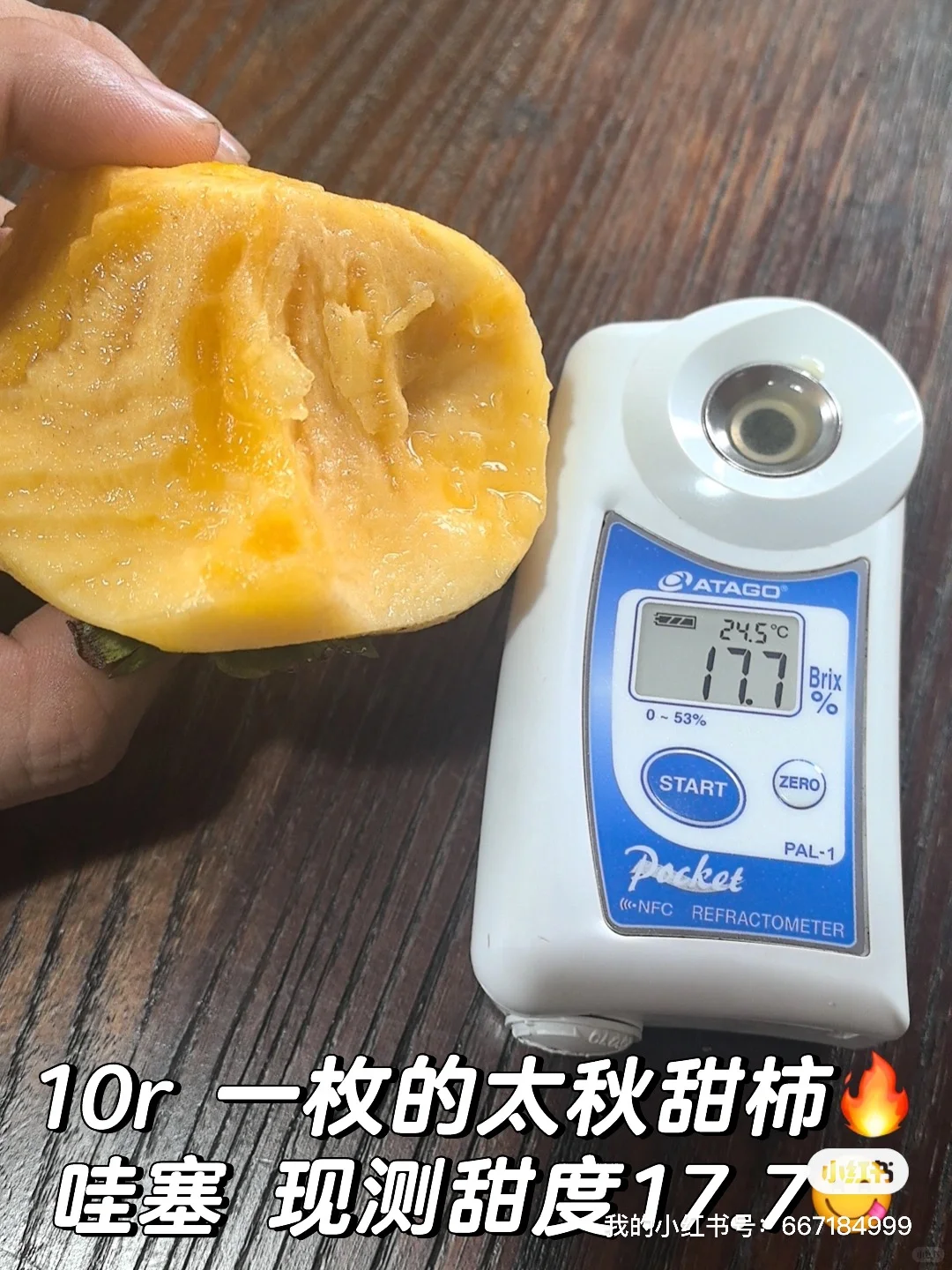 金奖脆柿，再不买就要下市了，果期不足30天