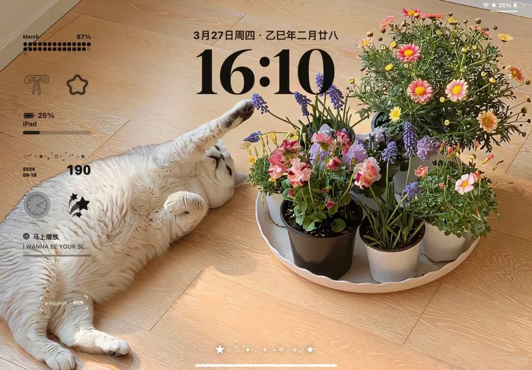 今日iPad壁纸分享 🍧ins风