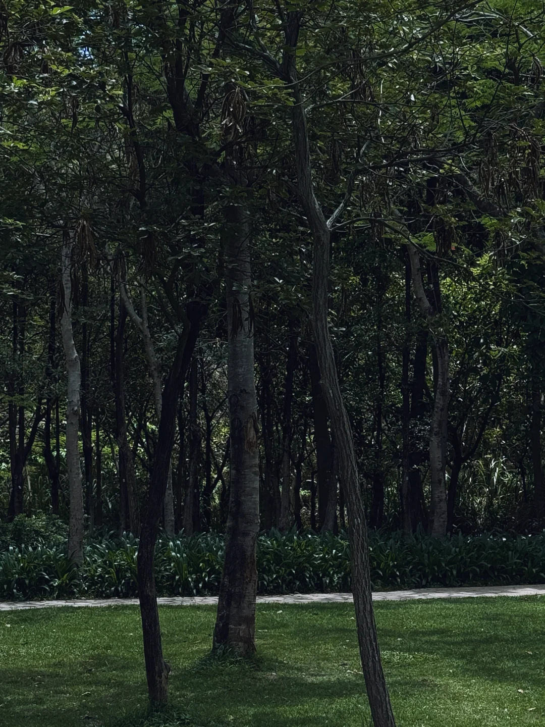 大自然的疗愈力