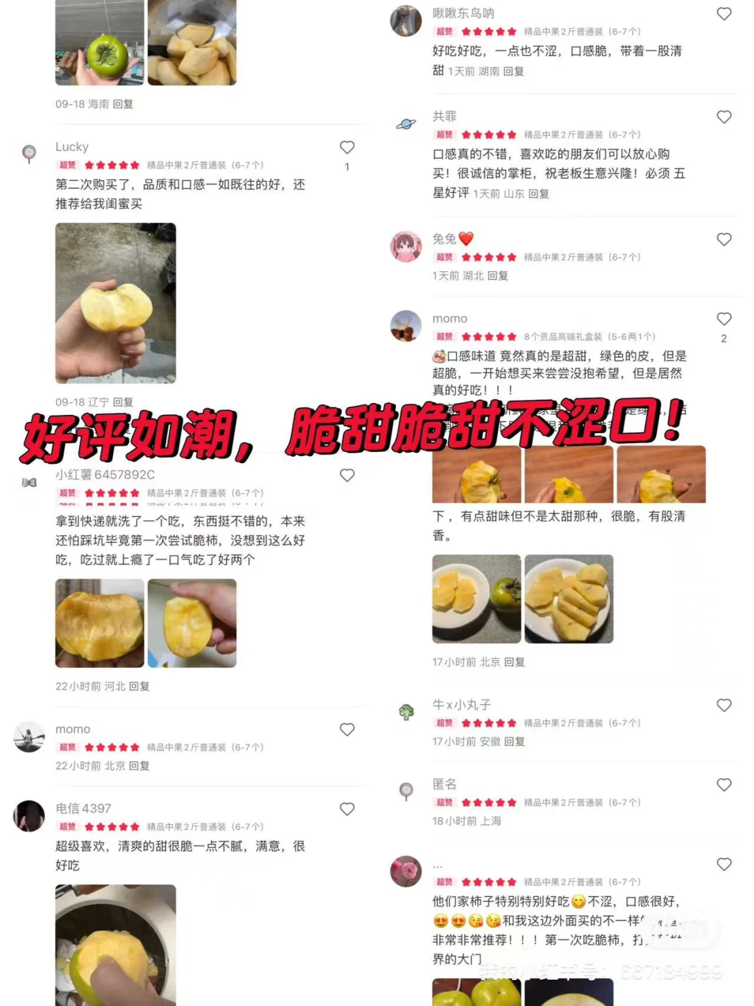 挖到一家巨脆巨甜的脆柿子！！无限回购！！