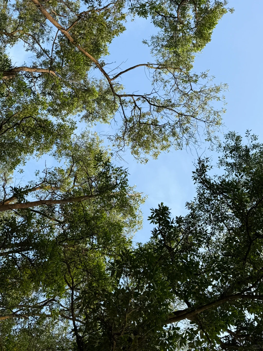别问爬山累不累🌿问就是灵魂在飞～