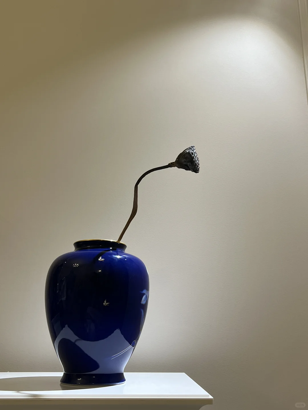 人到中年：静而不争 万般随缘